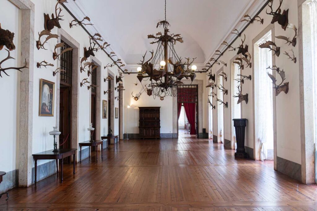 Sala dos troféus de caça no Palácio Nacional de Mafra